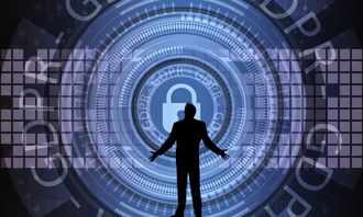 九游娱乐下载-中国篮球联赛赛事安全管理优化与执行研究，篮球赛事安全风险