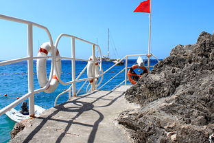 九游娱乐官网-海湾者未来青训体系逐渐完善，海湾技术